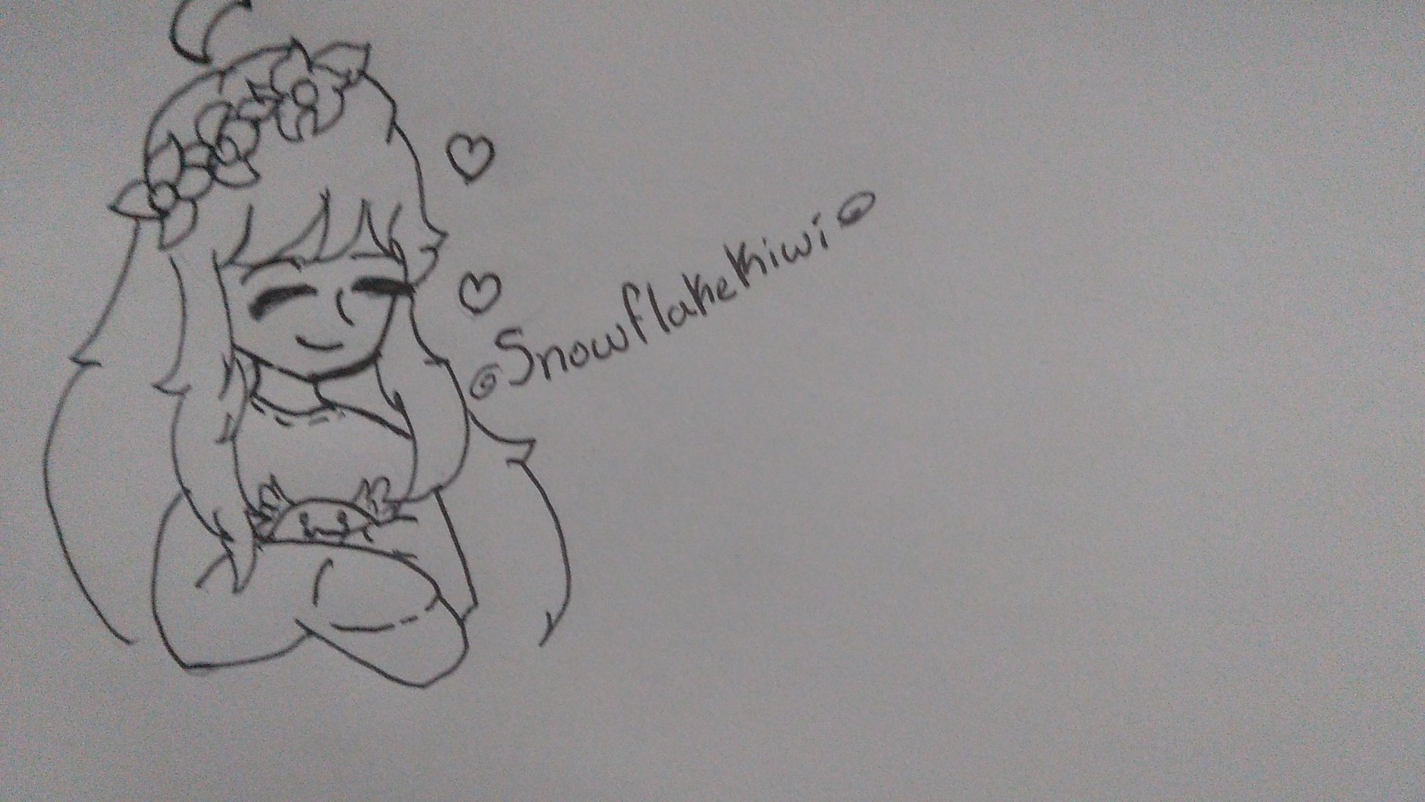 Mountains and fjords